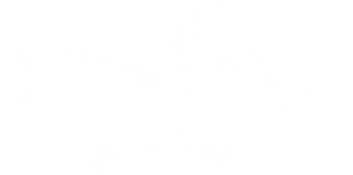 Shadow Kids Clothing Co.