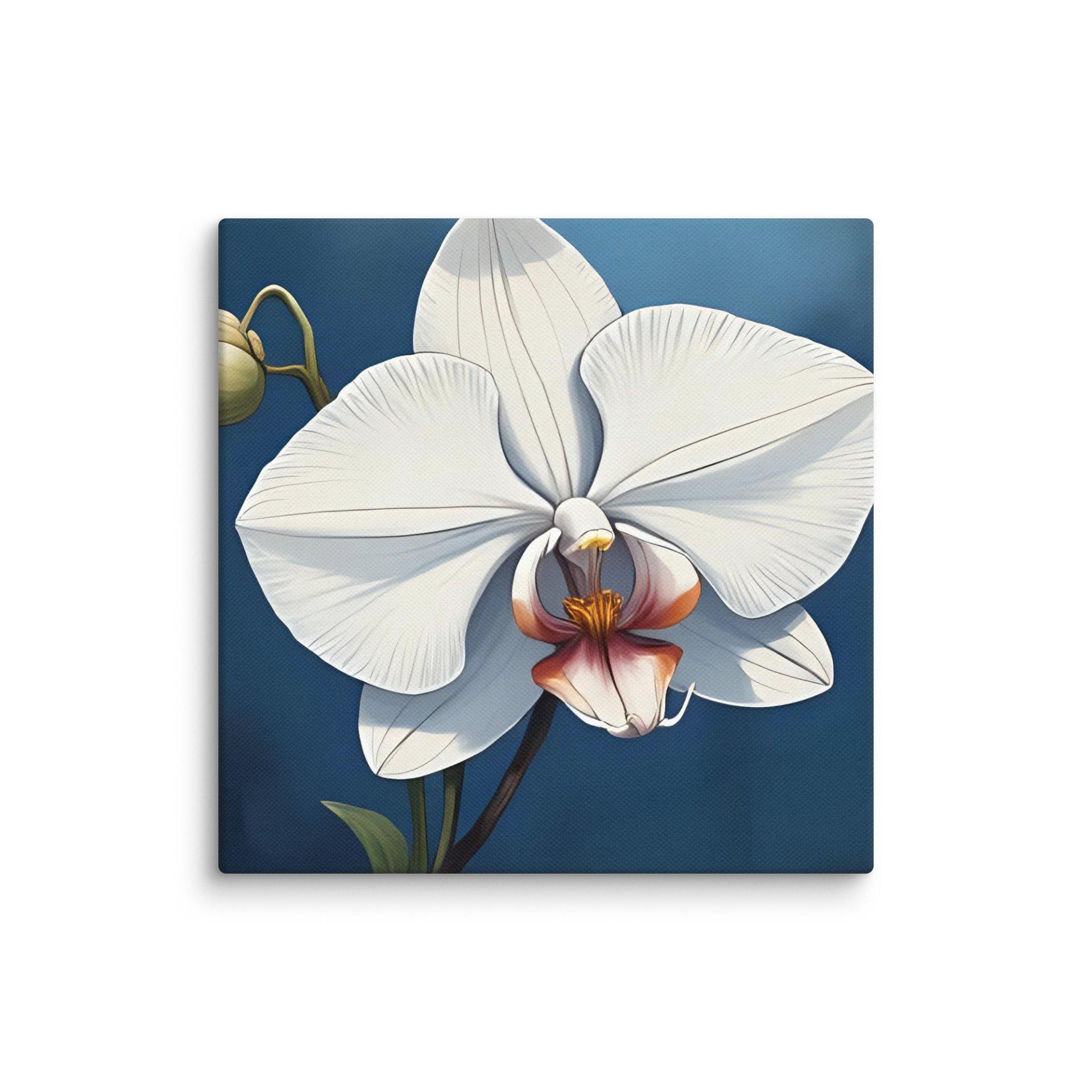 Single White Orchid Canvas product image (12)