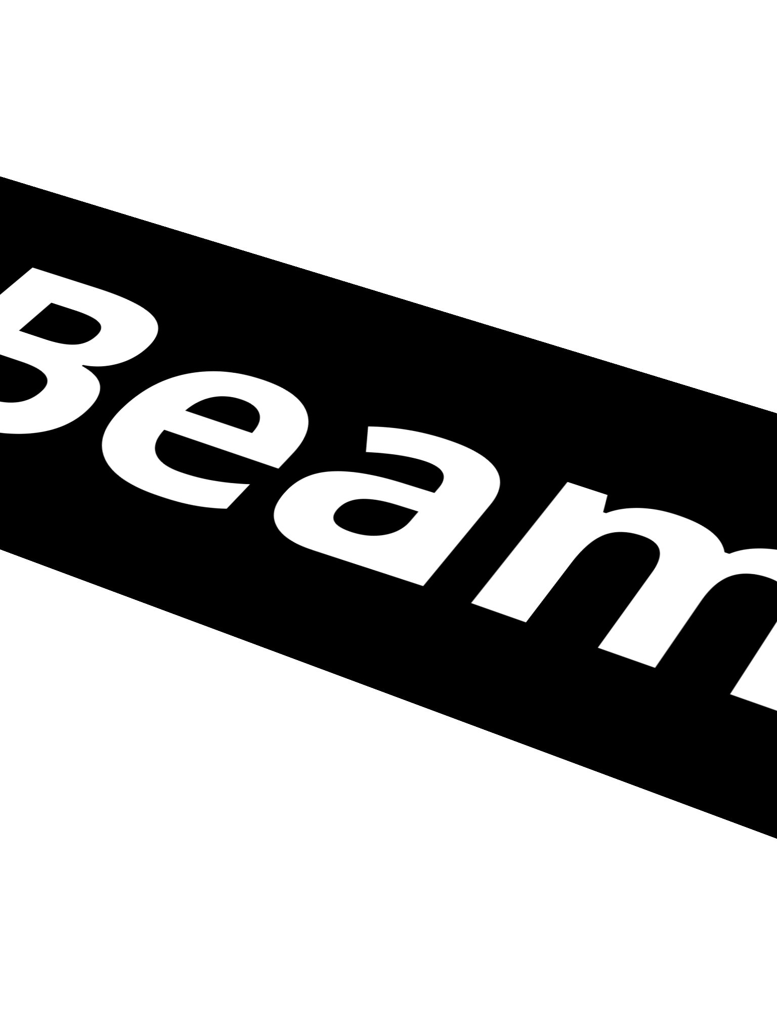 BeamNG Logo XL Sticker (White) product image (4)