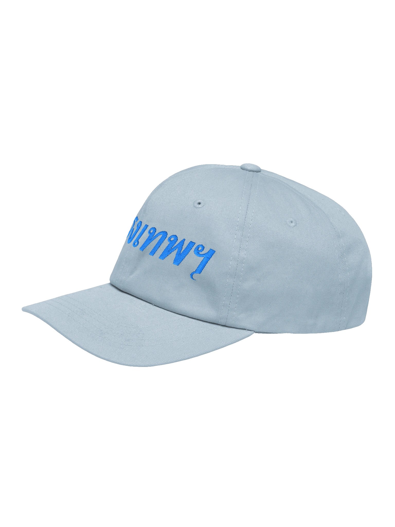 BANGKOK Biennale Blue Thai Text Dad Hat product image (3)