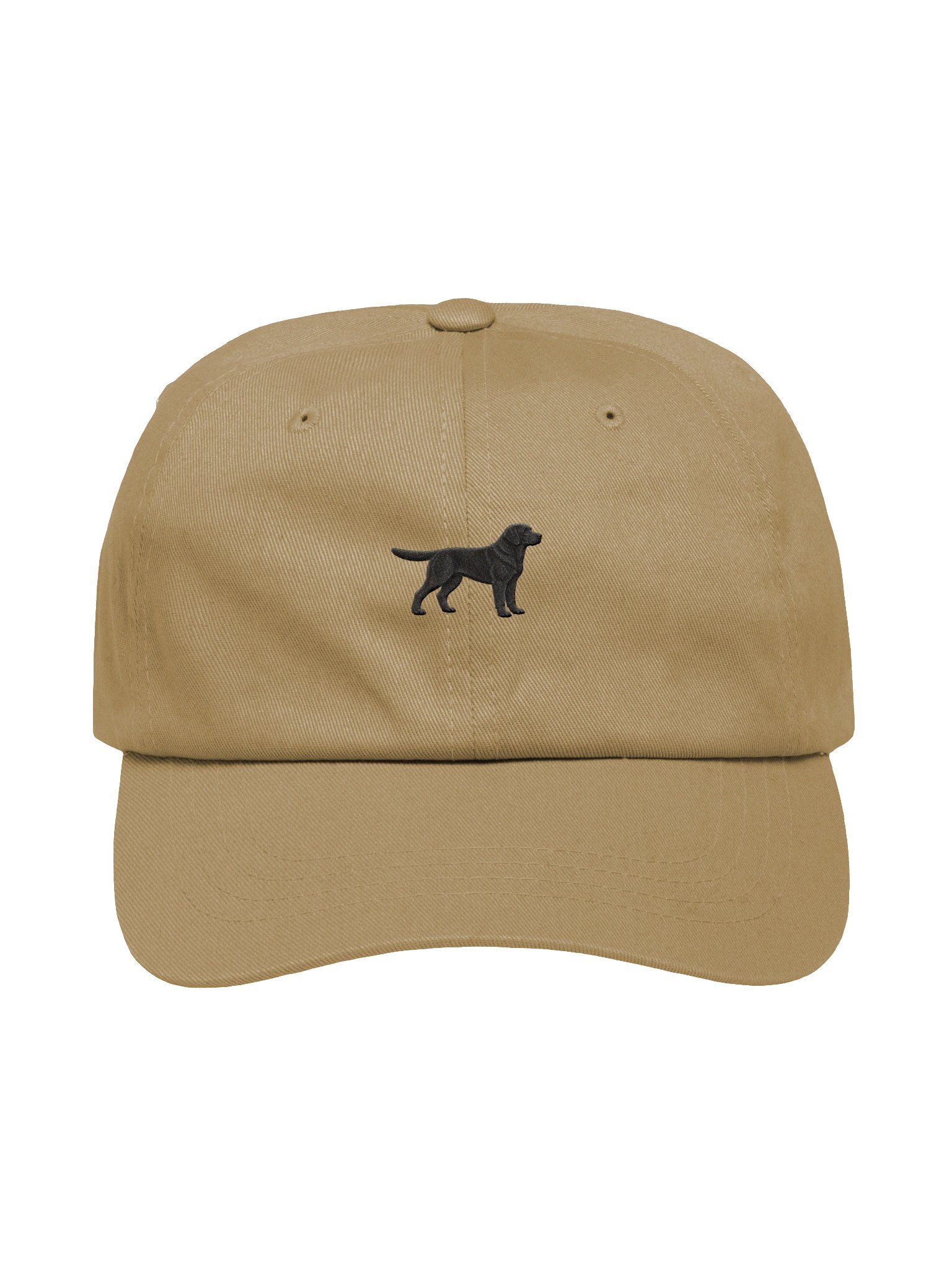 Labrador Retriever — Black Coat Hat product image (1)