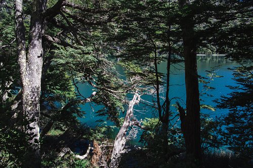 Entre la Patagonia y el Mediterráneo, el agua, la piedra, la tierra y la luz fueron construyendo una mirada que hoy se expres...