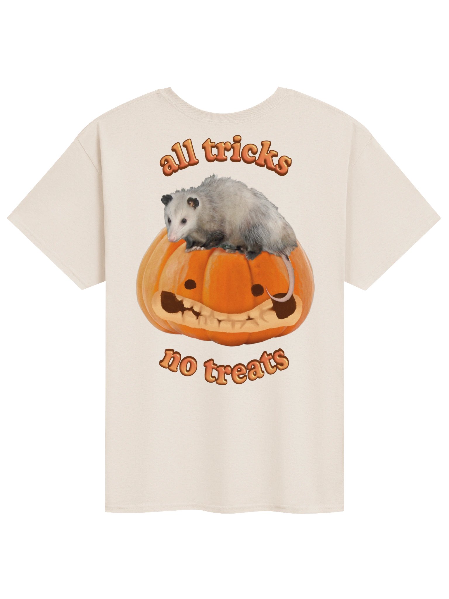 All Tricks No Treats [Double Sided]- Autumn Pumpkin Possum T-shirt product image (2)
