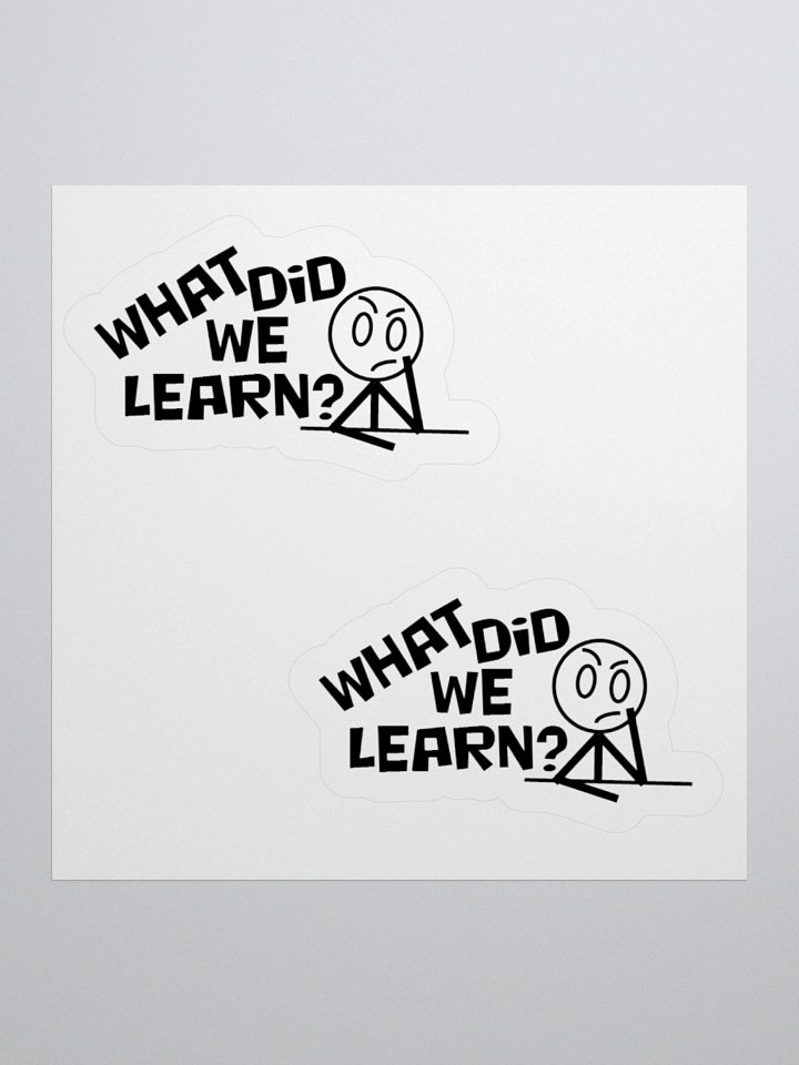 What did we learn stickers product image (1)