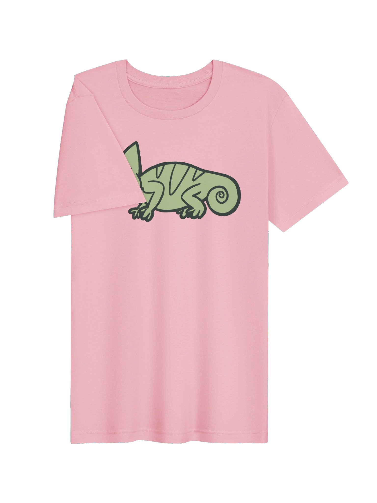 Chameleon T-Shirt product image (17)
