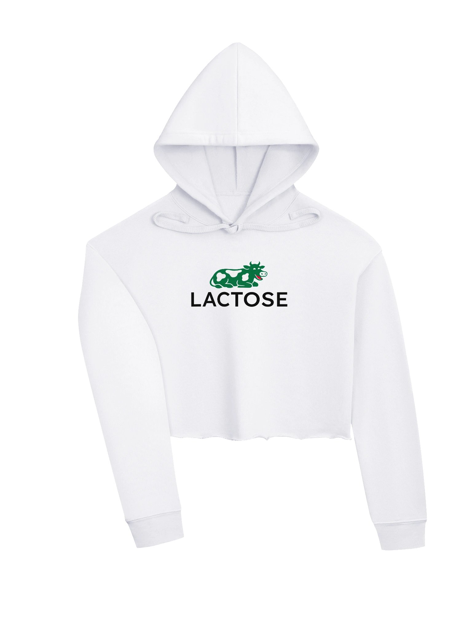 Lactose Fleece Crop Hoodie product image (3)