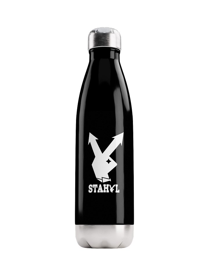 H20 Stahyl Bottle product image (1)