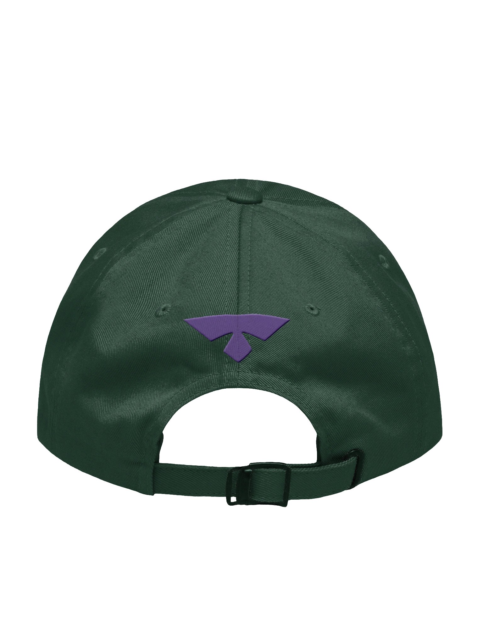 Isopod Dad Hat product image (16)