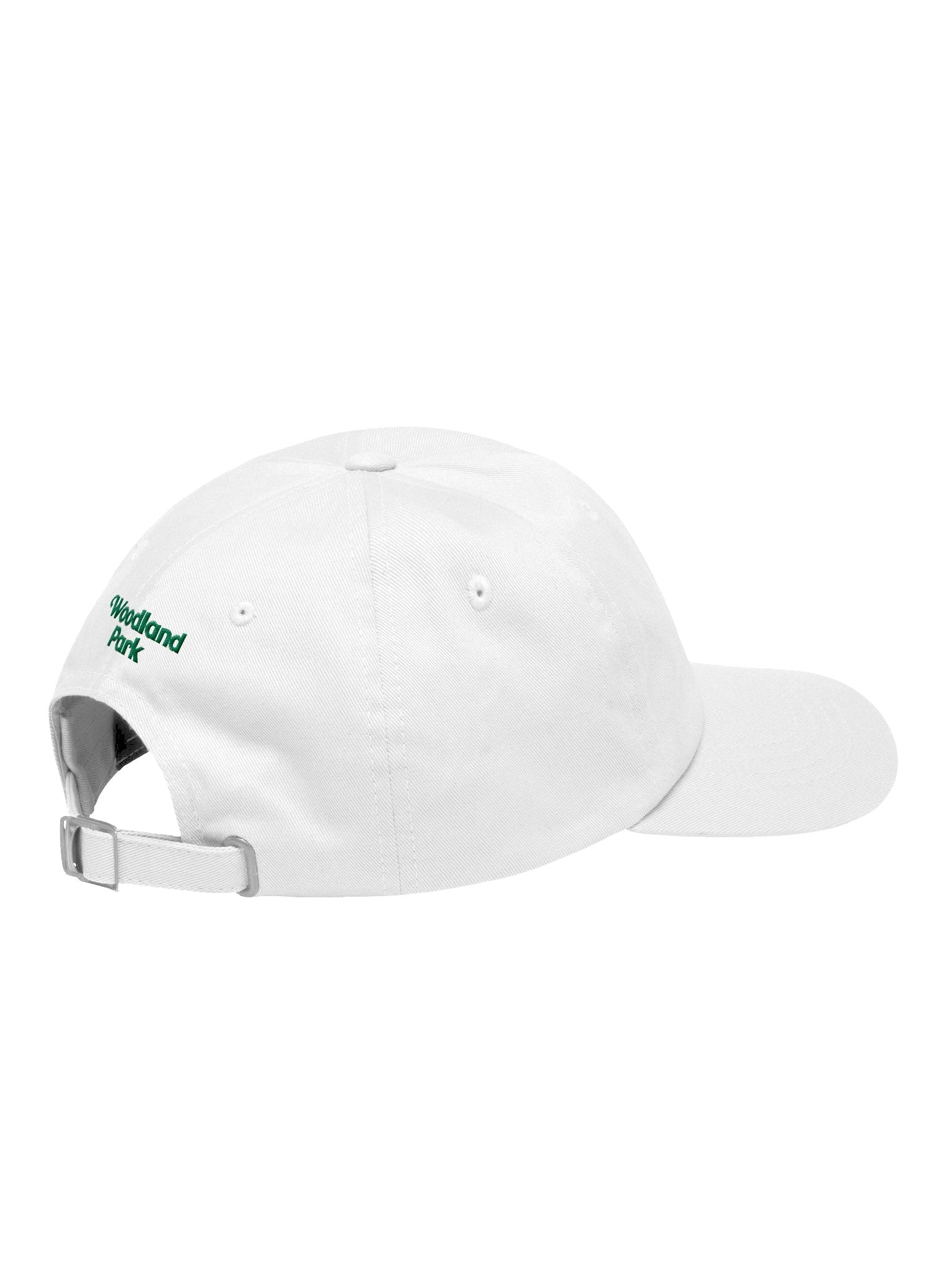 WPLBC Logo Hat (Light) product image (4)