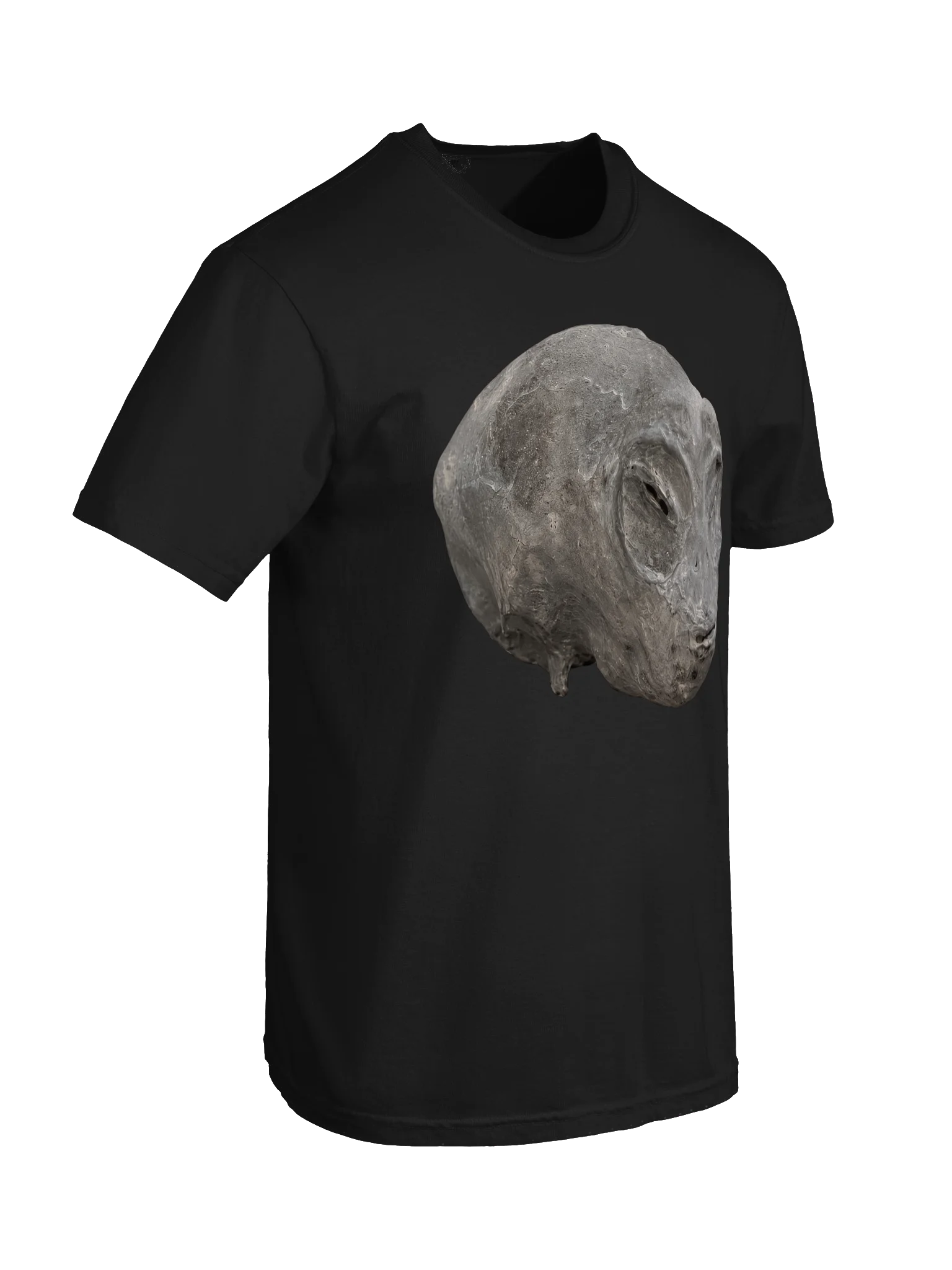 Cleaned Nazca Head Premium T-Shirt product image (6)