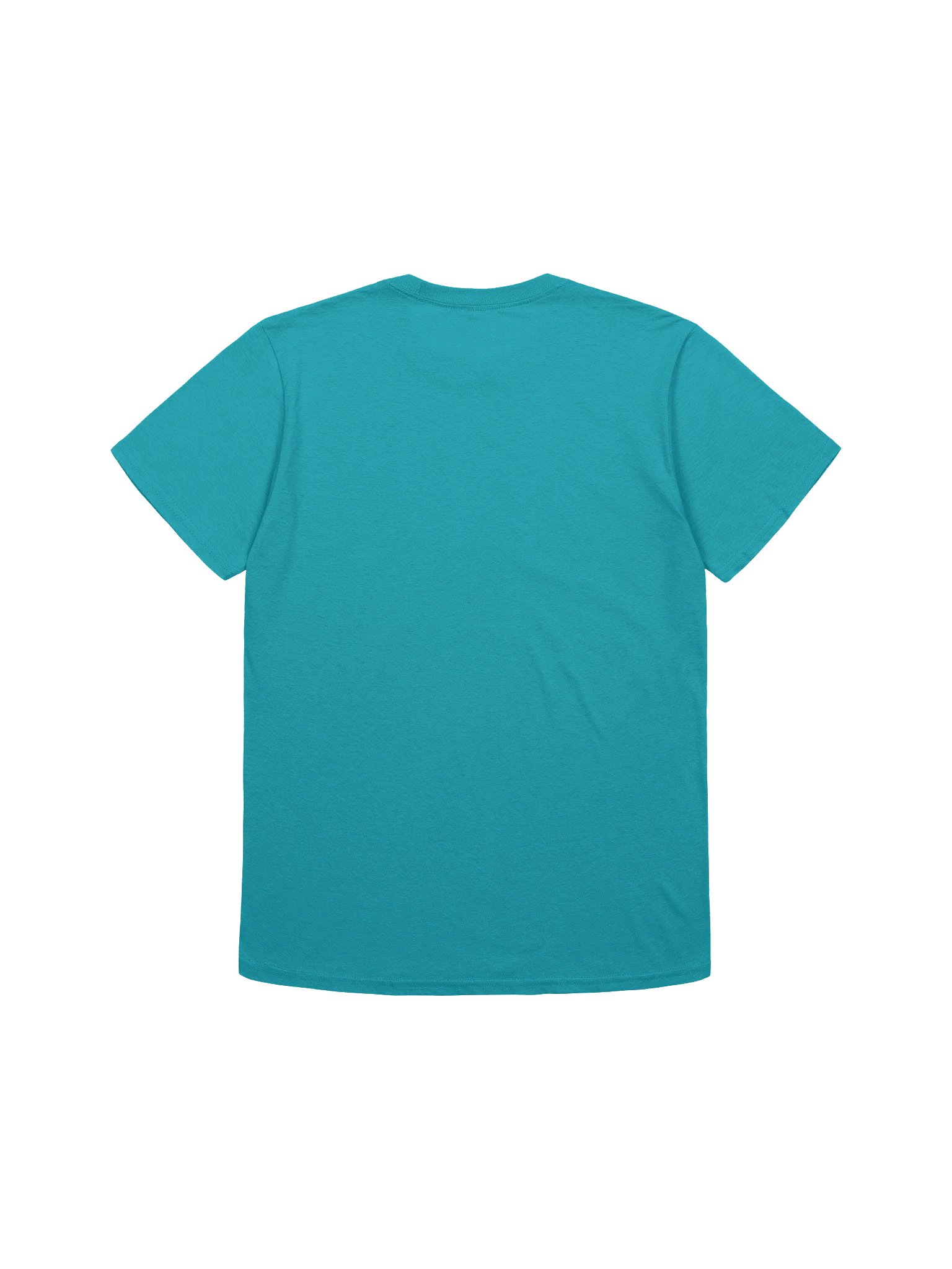 C1 Color Tee product image (10)
