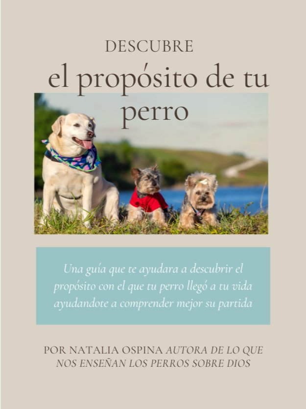 Descubre el propósito de tu mascota en tu vida en 7 pasos: E-Book product image (1)