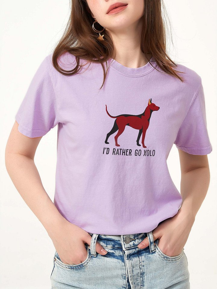 I'd Rather Go Xolo T-Shirt(Embroidered) of a Mexican Hairless Dog/Xoloitzcuintli(Chocolate) product image (2)