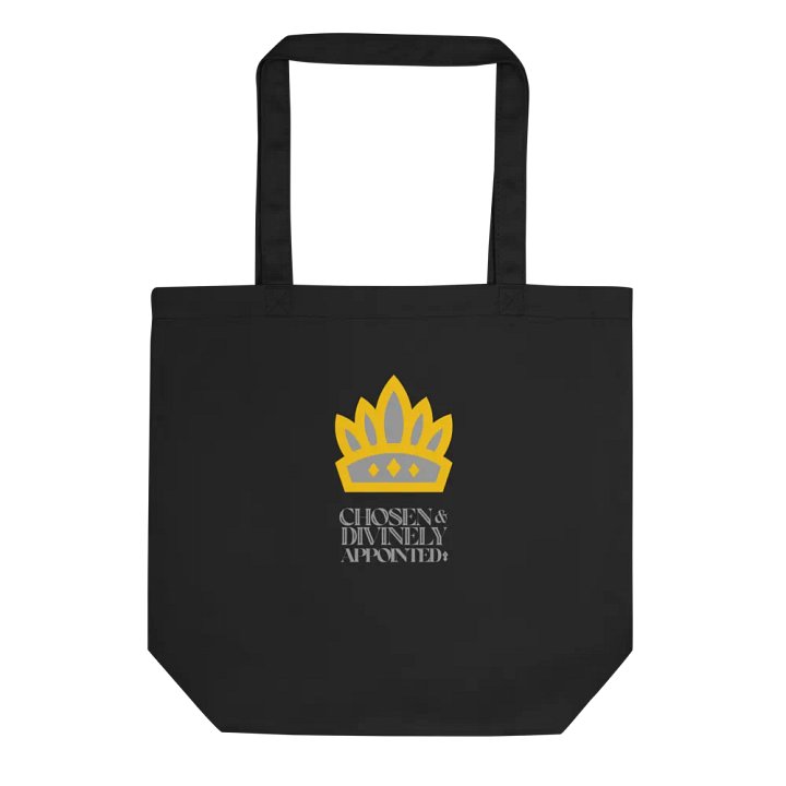 Chosen and Divinely Appointed product image (1)