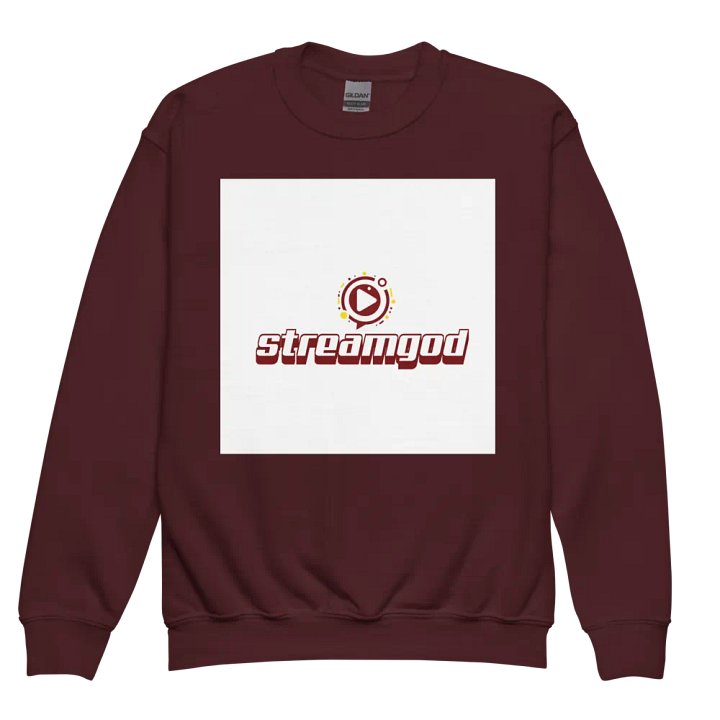 maroon youth STREAMGOD sweater product image (2)