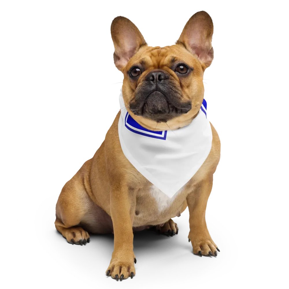"Star of Life" Bandanna product image (4)