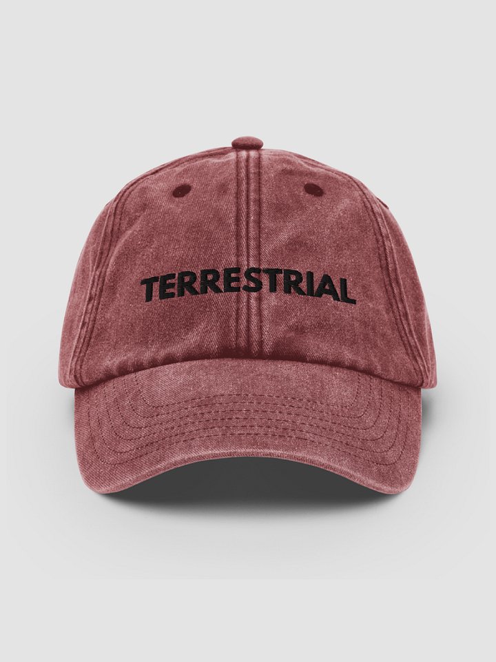 Classic Logo Distressed Hat product image (1)