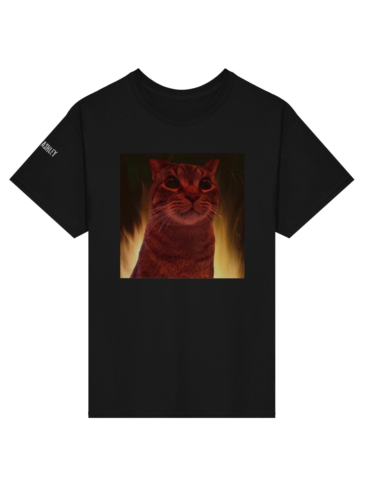 This Is Fine, Luke's Version T-Shirt product image (1)