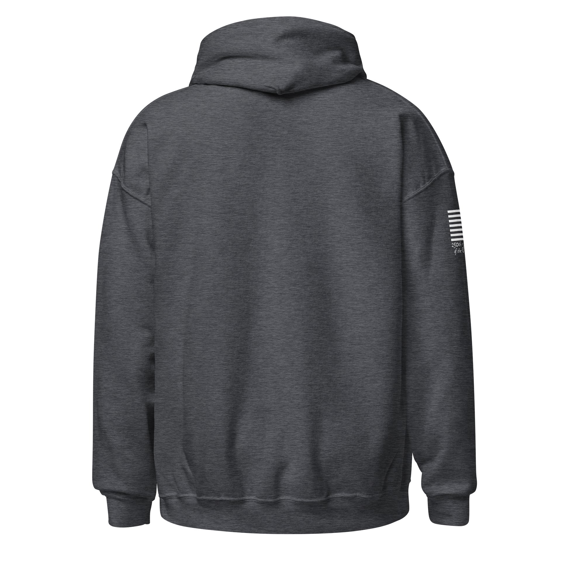 250 We The People Loaded Hoodie product image (8)