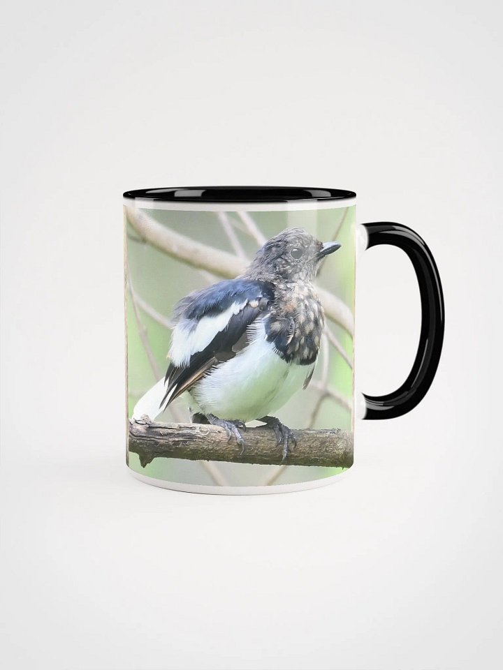 IUCAA Birds: Ceramic Mug with Color Inside product image (1)