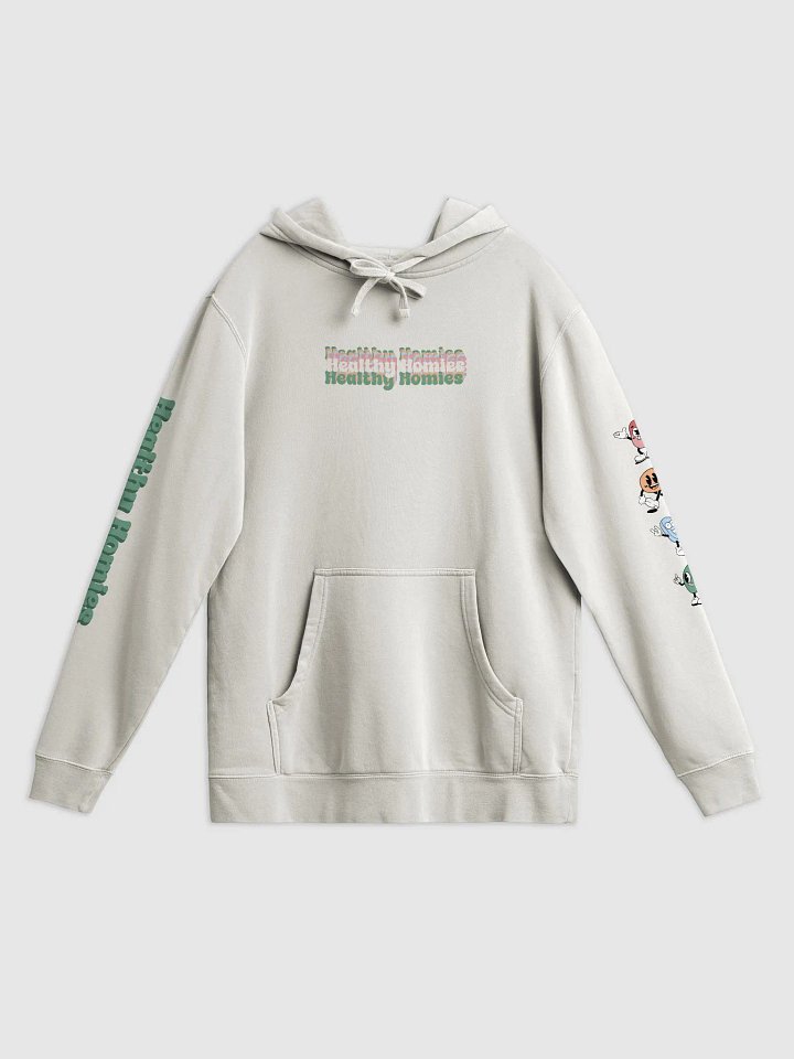 Healthy Homies Hoodie product image (1)