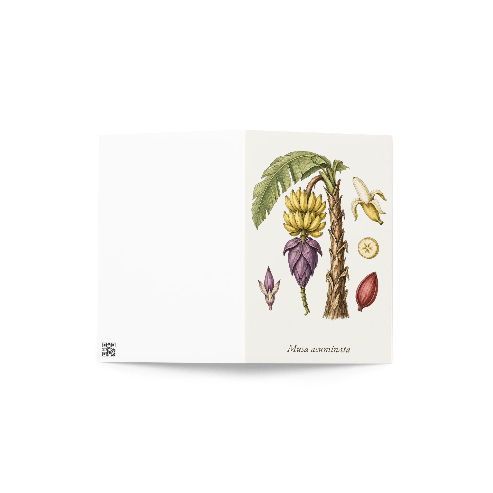 Vintage Botanical Banana Greeting Card product image (4)