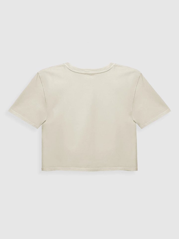 Abolish Ohio Crop Top - White product image (2)