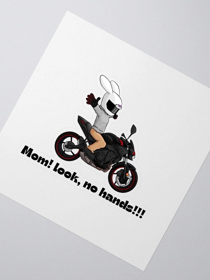 Shryner Sticker product image (4)