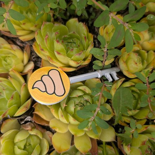 What does this unlock?