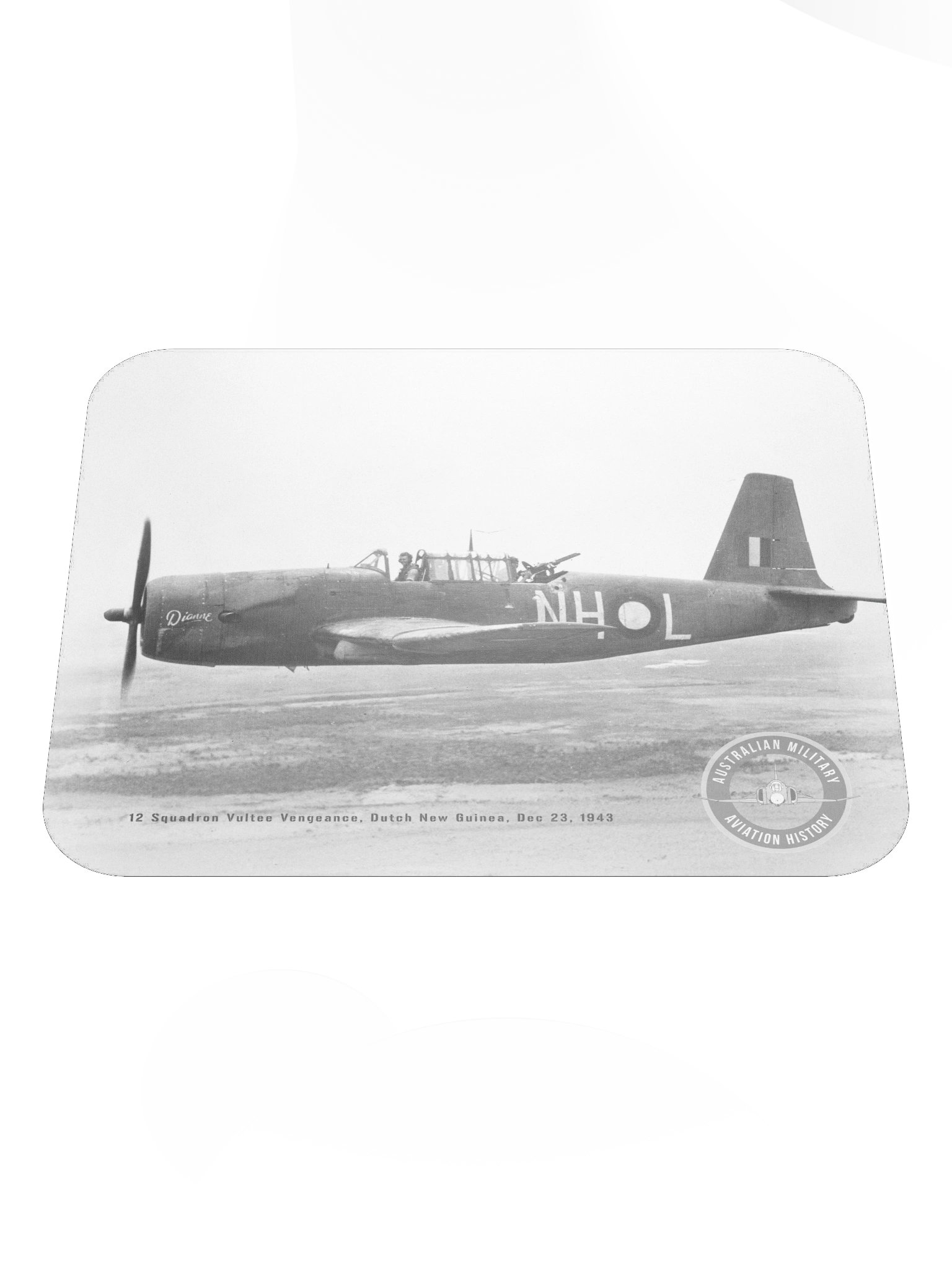 Vultee Vengeance "Dianne" product image (1)