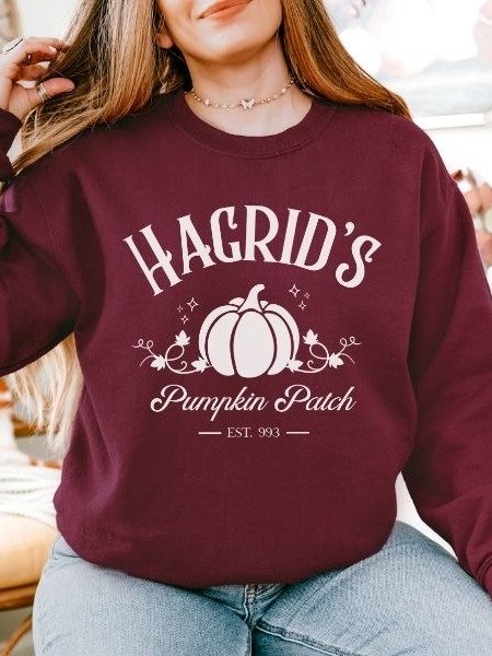 Magical Pumpkin Patch Minimalist Cozy Sweatshirt for Halloween product image (1)