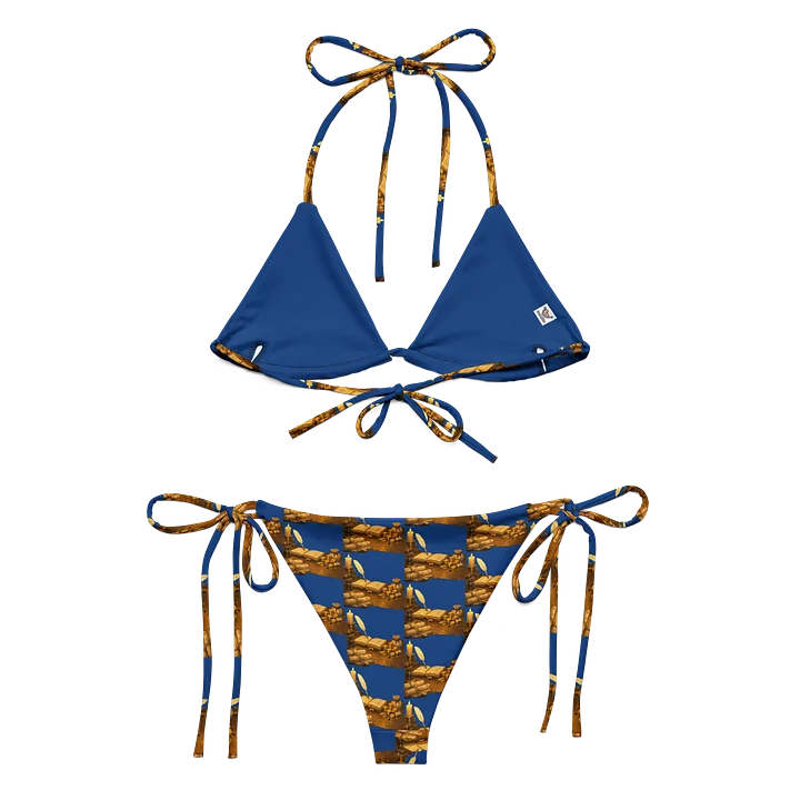 Kingdom Treasurer 2 Recycled Bikini Set product image (1)