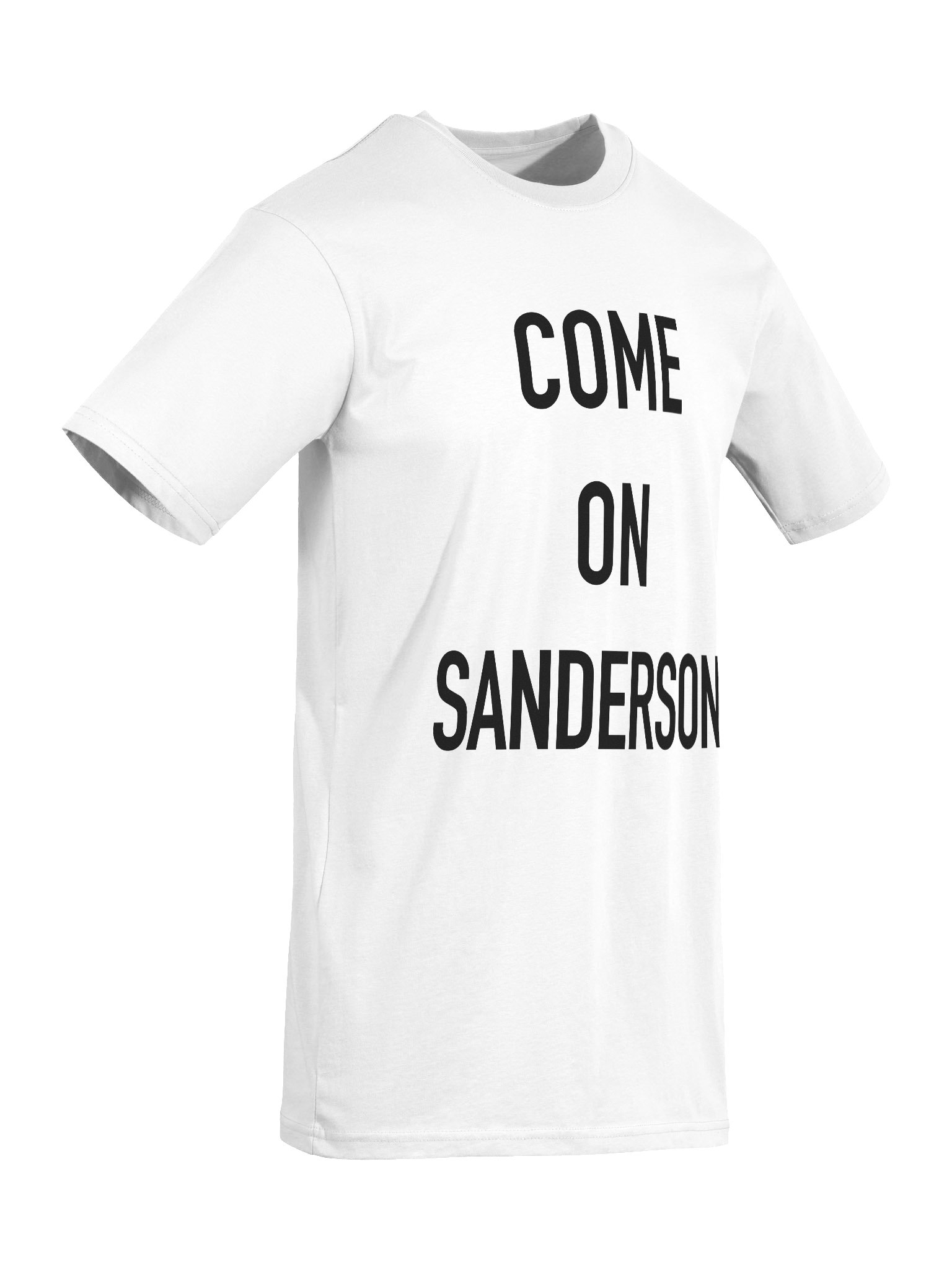 SANDERSON LAM (ENGLAND) product image (2)