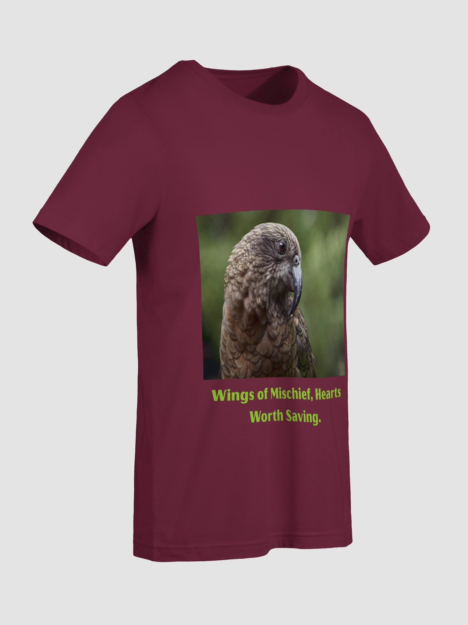 Forest Parrot product image (4)