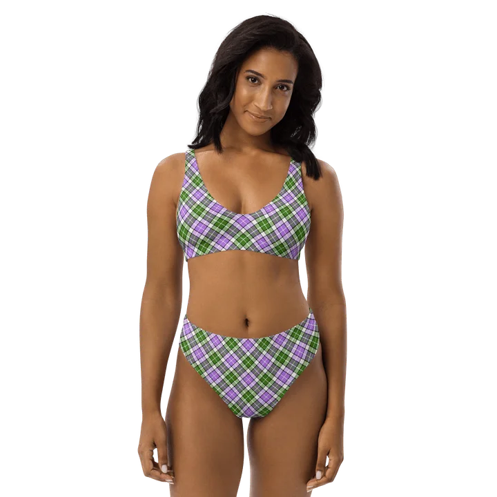 Lavender and Green Plaid Bikini product image (1)