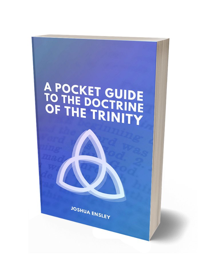 A Pocket Guide to the Doctrine of the Trinity product image (1)