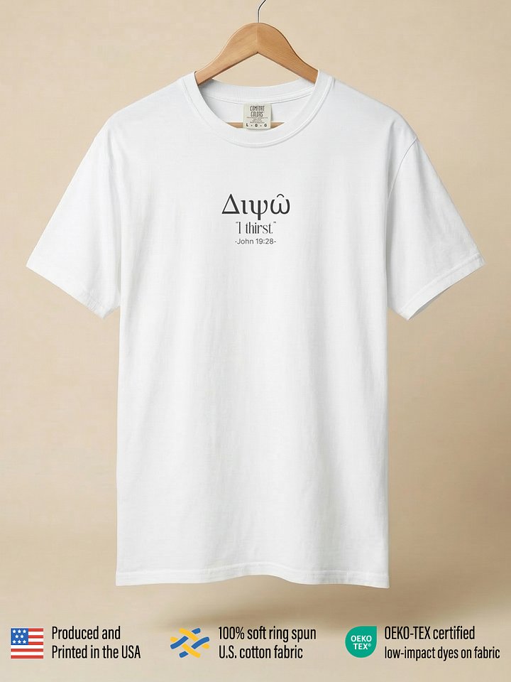 Dipso — “I Thirst” Tee | Heavyweight product image (1)