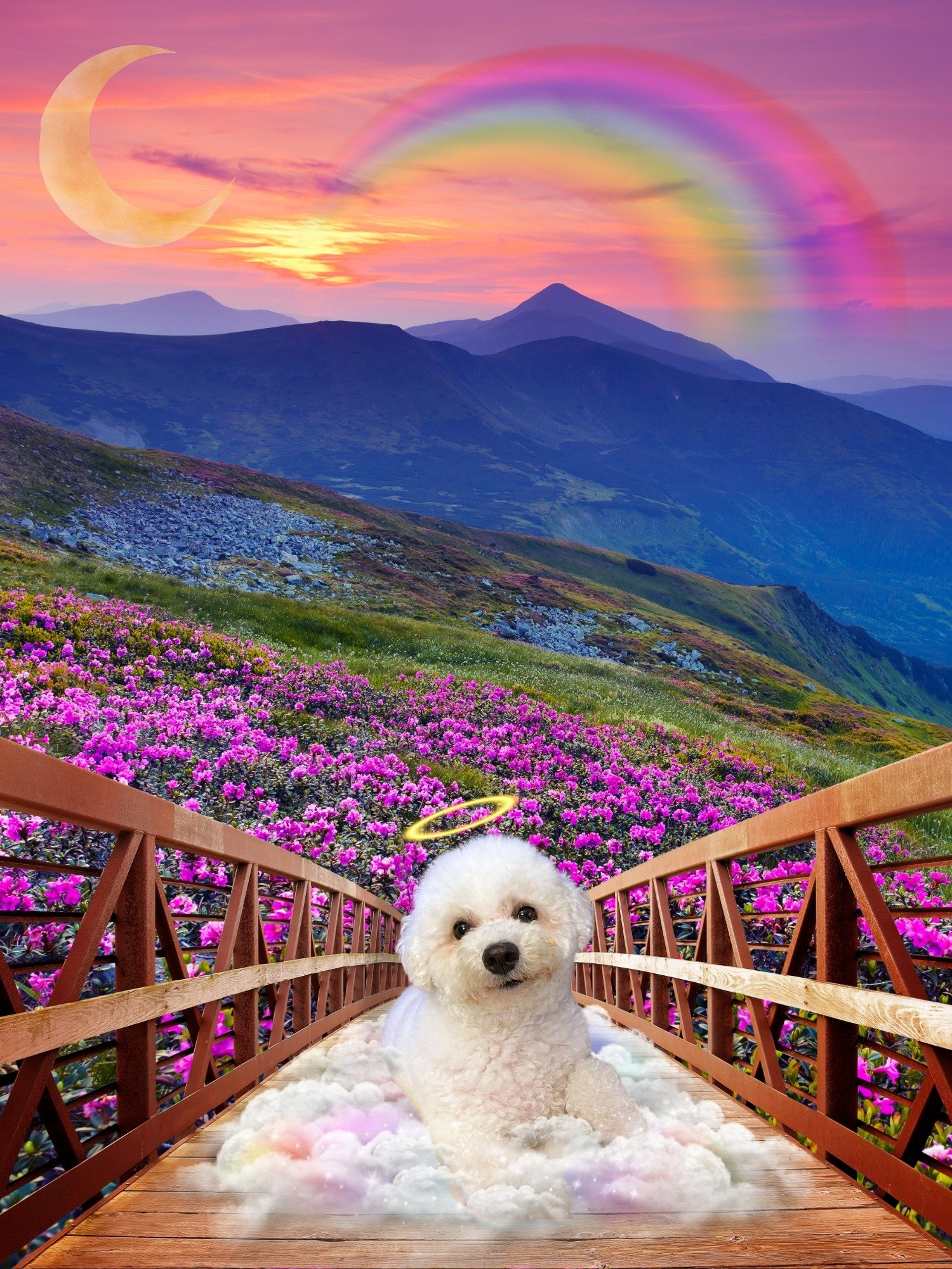 Rainbow Bridge Custom Portrait product image (7)