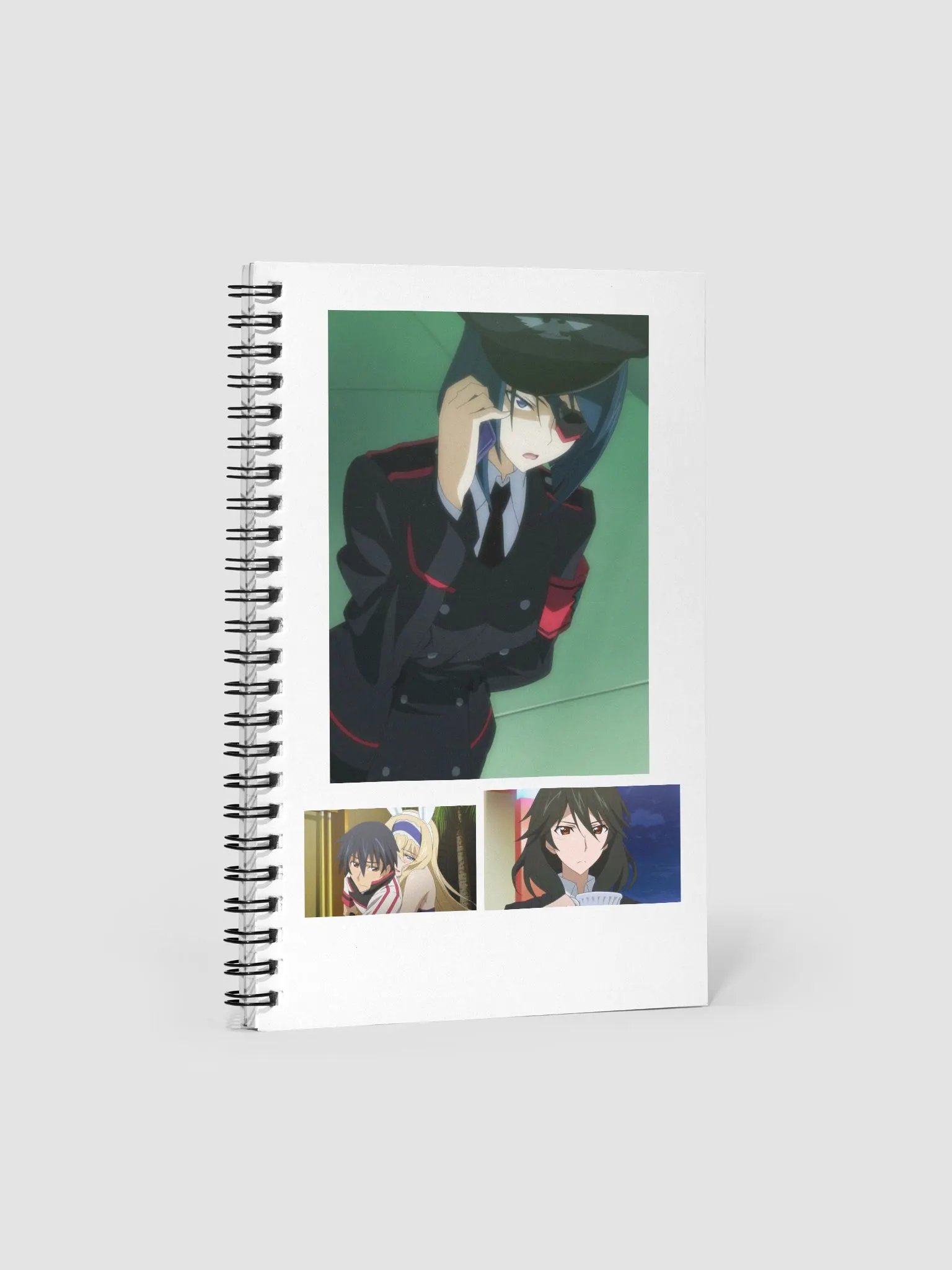 Infinite Stratos Book product image (1)