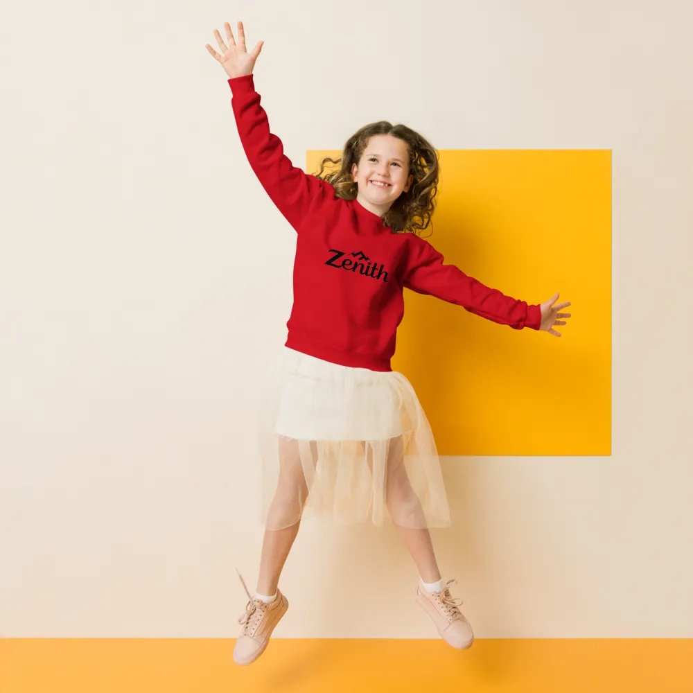 TDS Music Exclusive 'ZENITH' Youth Crew Neck Sweatshirt - Comfortable, Durable, and Stylish product image (1)