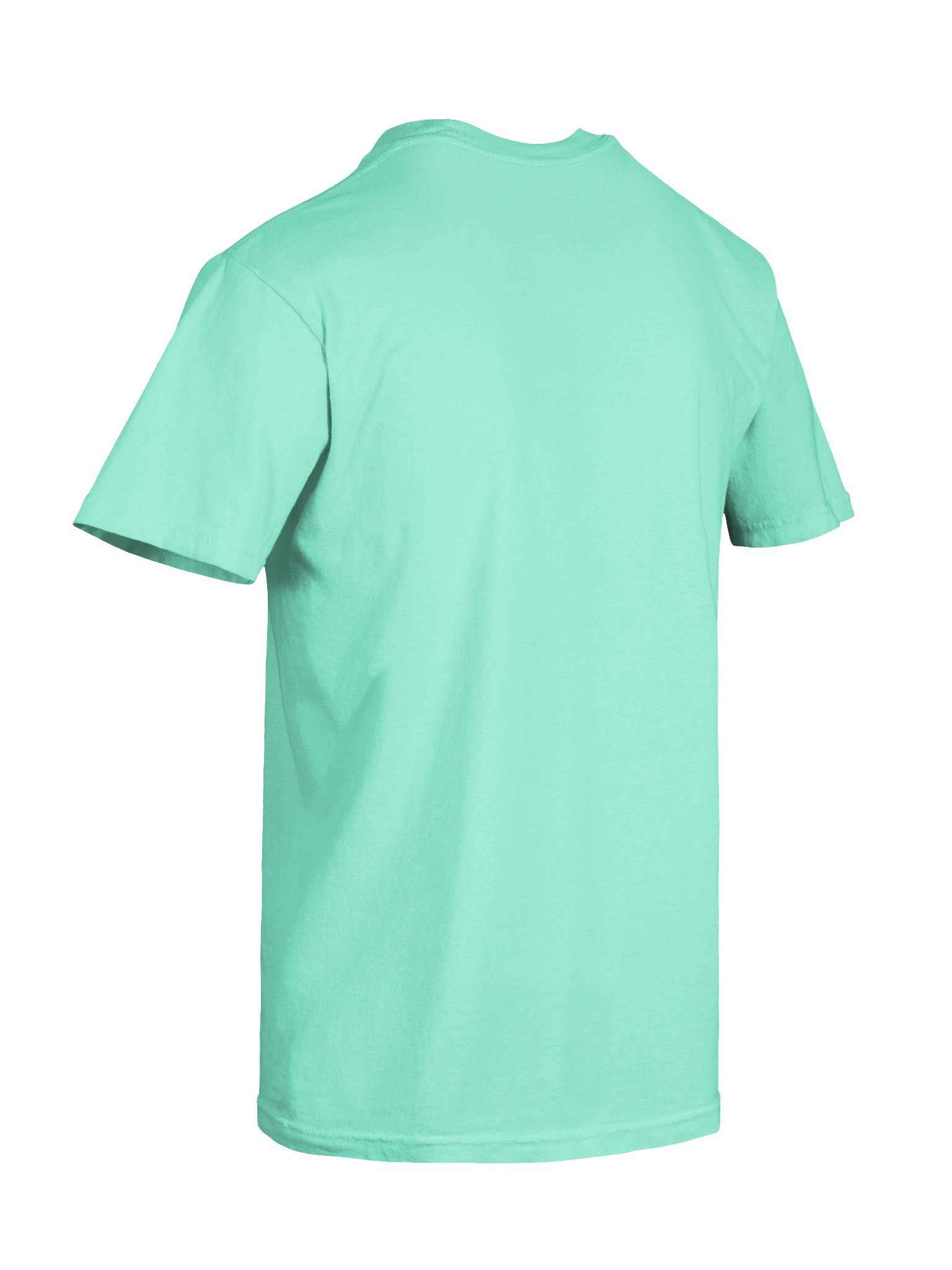 Vacation Capybara T-Shirt product image (8)