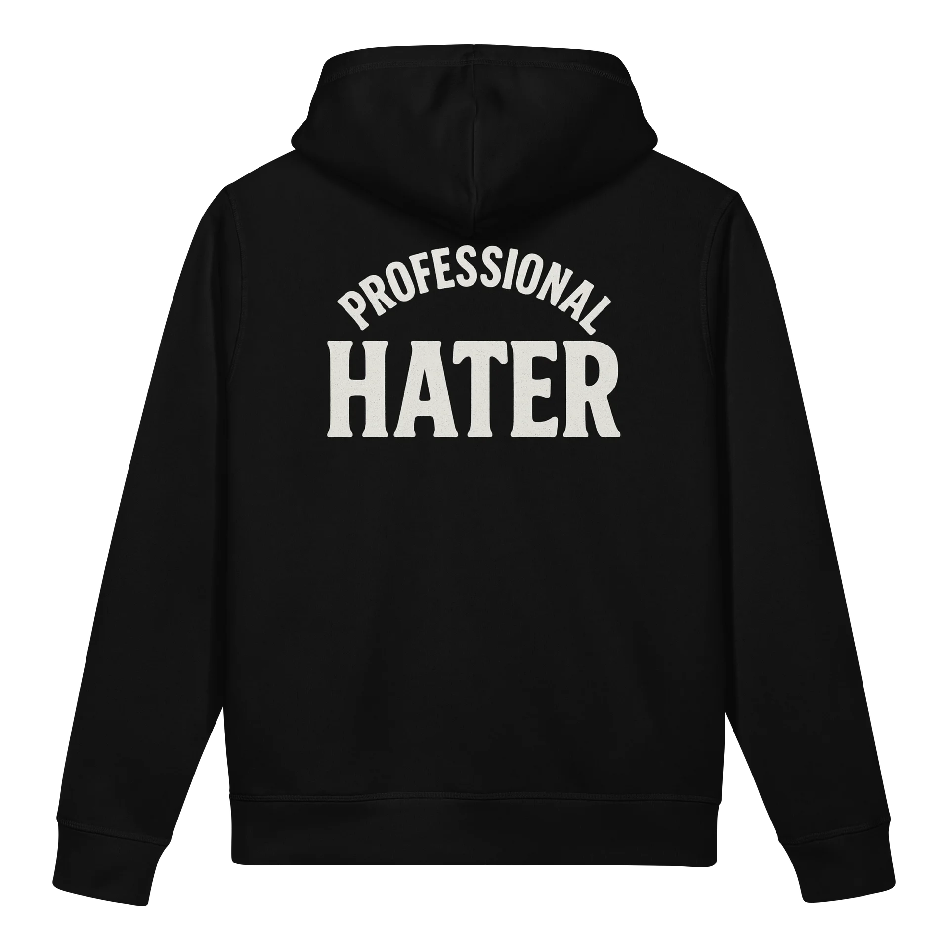 Professional Hater Champion Hoodie product image (1)