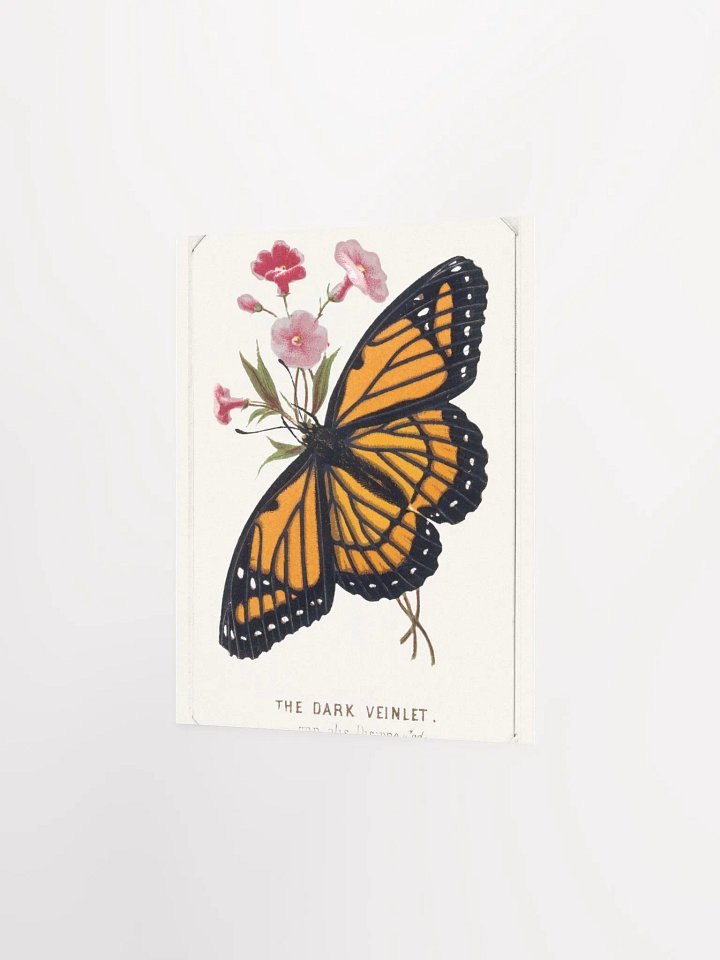 The Dark Veinlet product image (9)