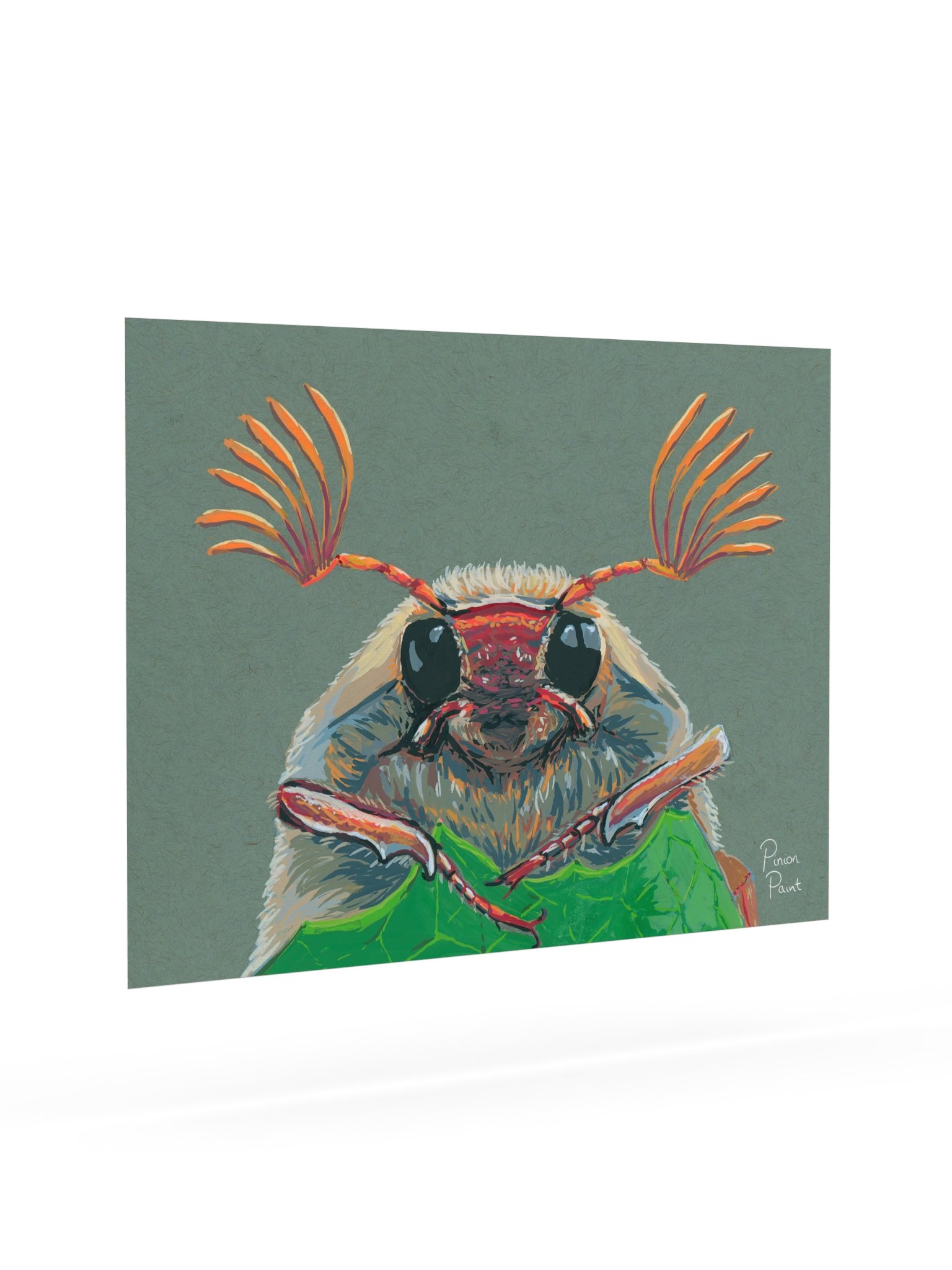 Cockchafer print product image (2)