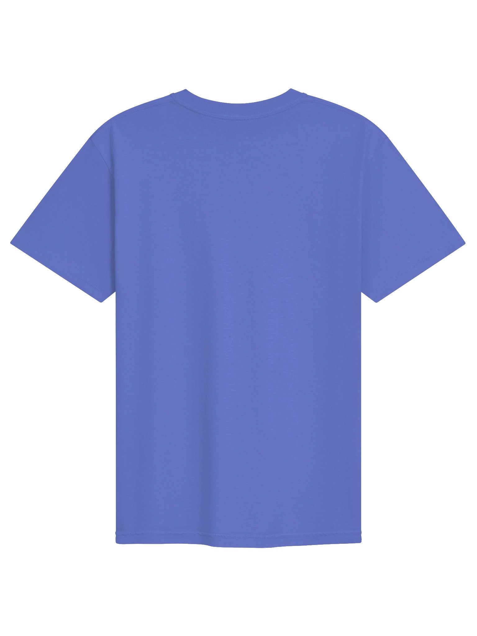 French Angelfish Embroidered Premium T-Shirt | Saltwater Reef Aquarium Fish & Marine Life Apparel product image (26)