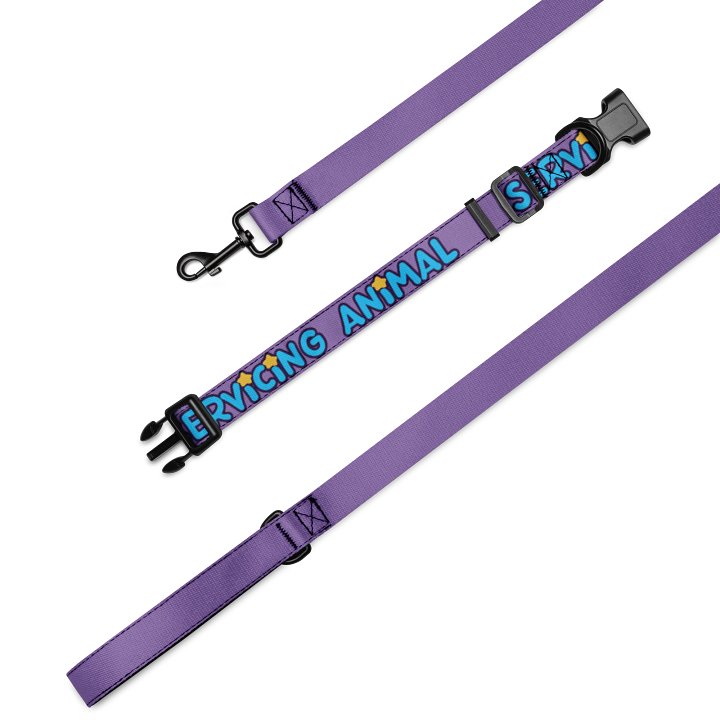SUS COLLAR + LEASH product image (2)