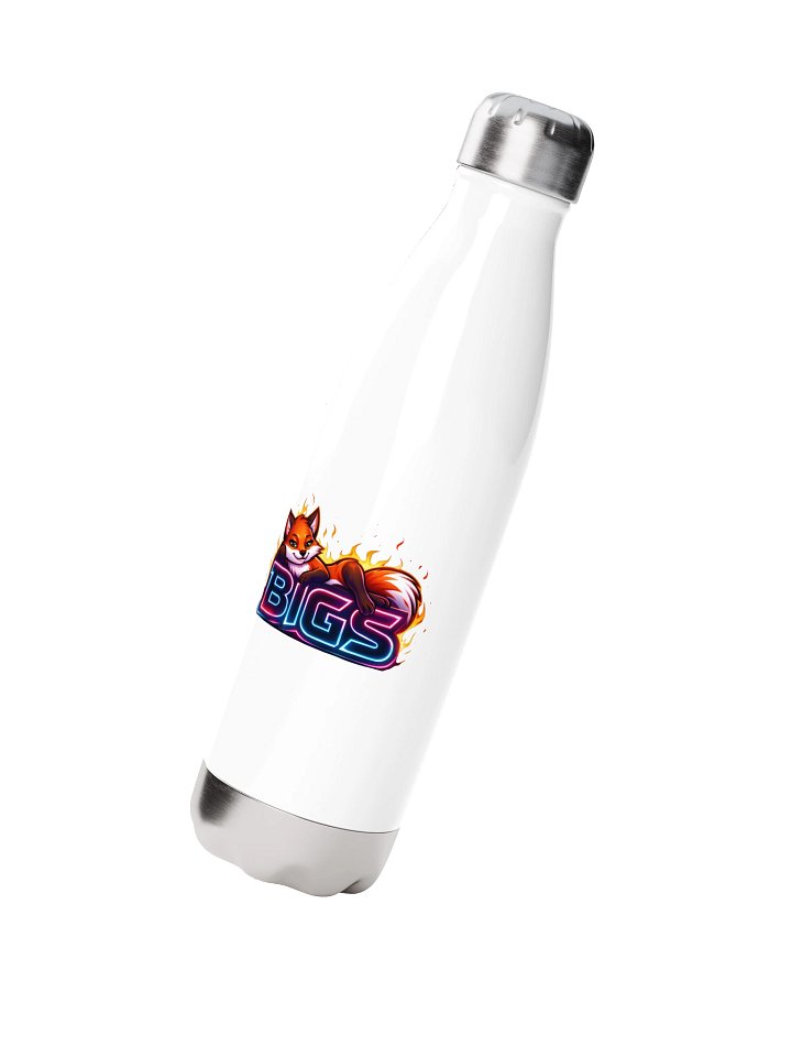 BIGS 17oz Bottle product image (2)