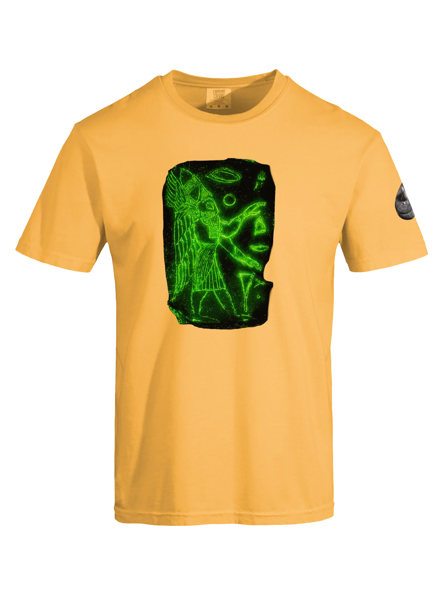 Project Disclosure Premium T-Shirt product image (5)