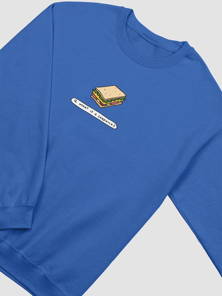 Original TSM 'What is a Sandwich' Jumper product image (9)