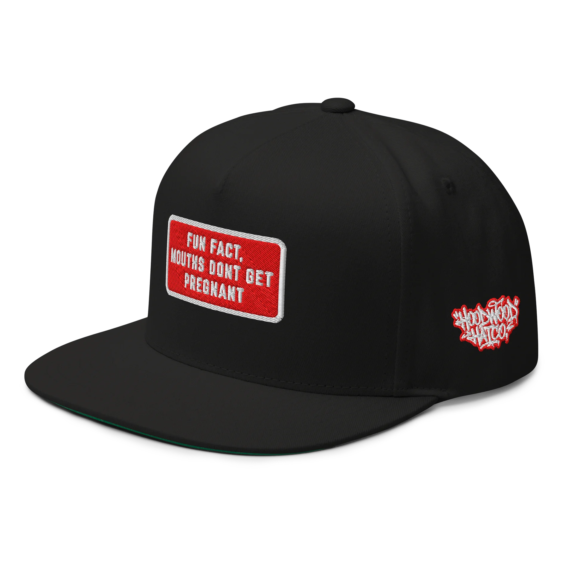 MOUTHS DONT GET PREGNANT - Embroidered SnapBack product image (16)